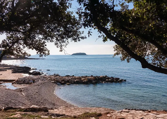 Lejlighed In With One-bedroom 17